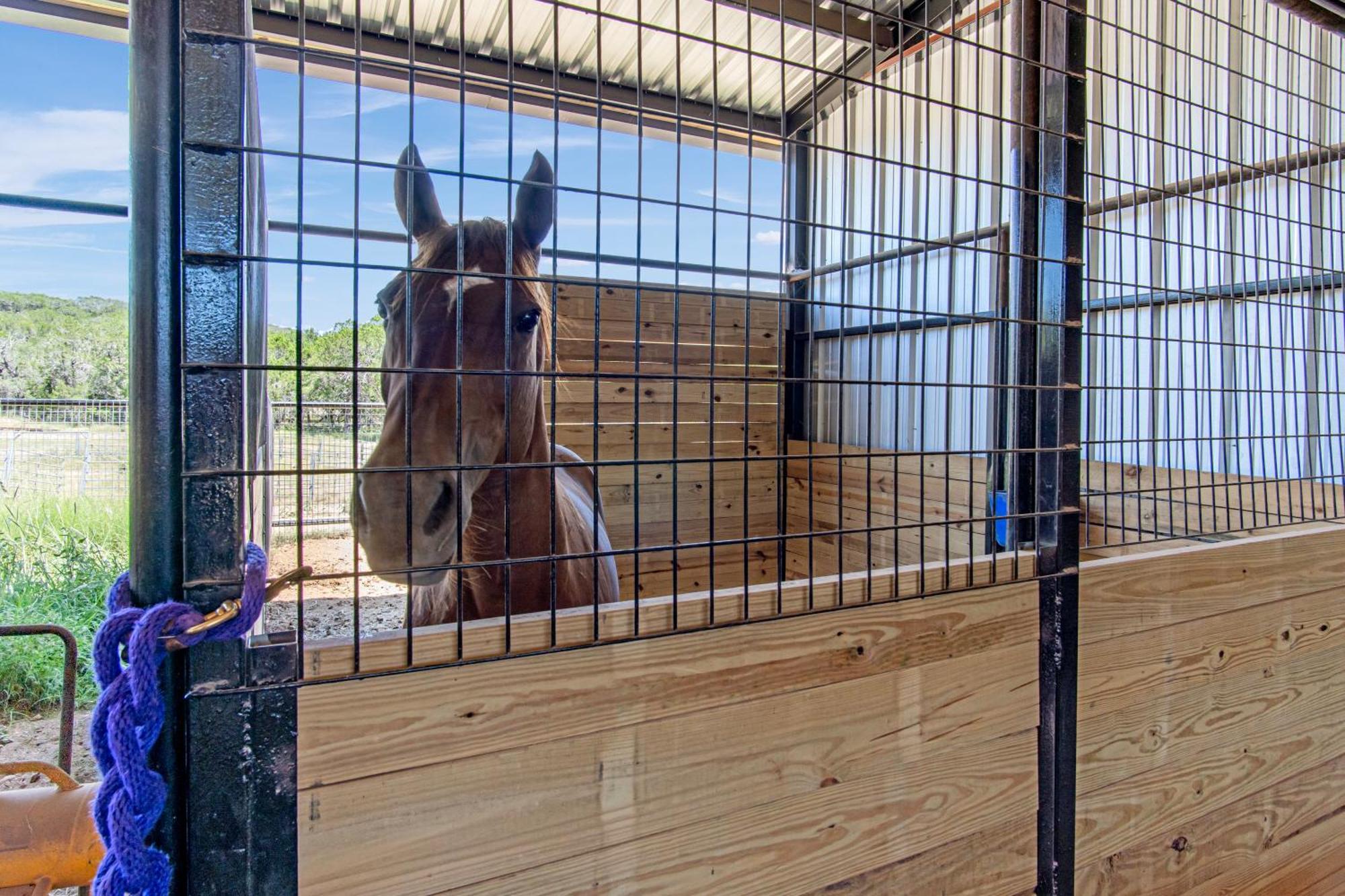Lucky Star Ranch - Stargazer Tarpley Exterior foto