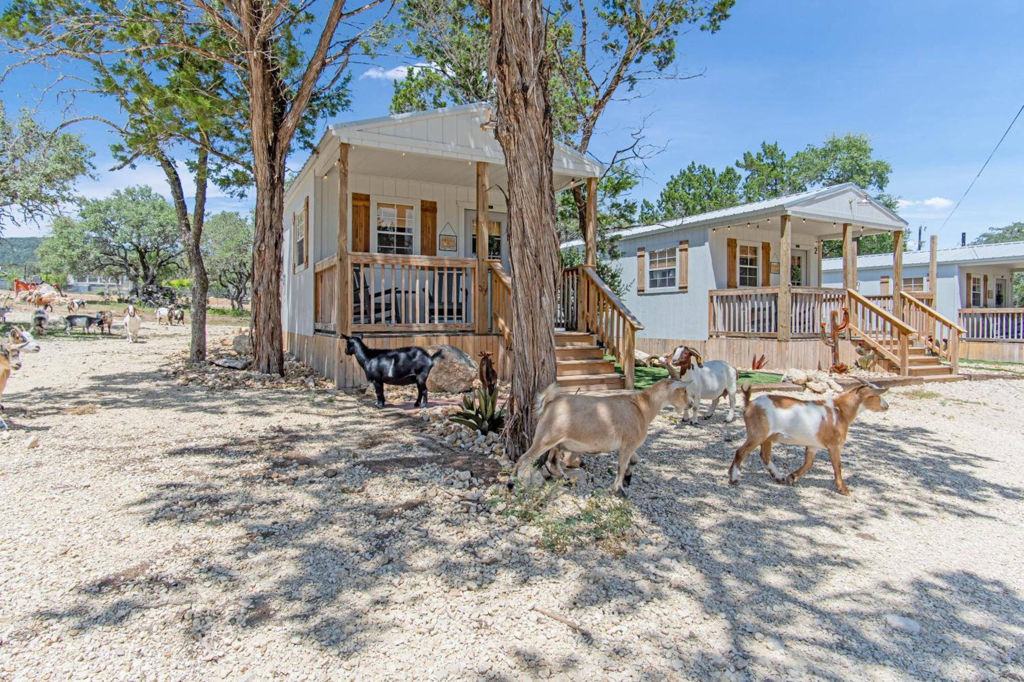 Lucky Star Ranch - Stargazer Tarpley Exterior foto